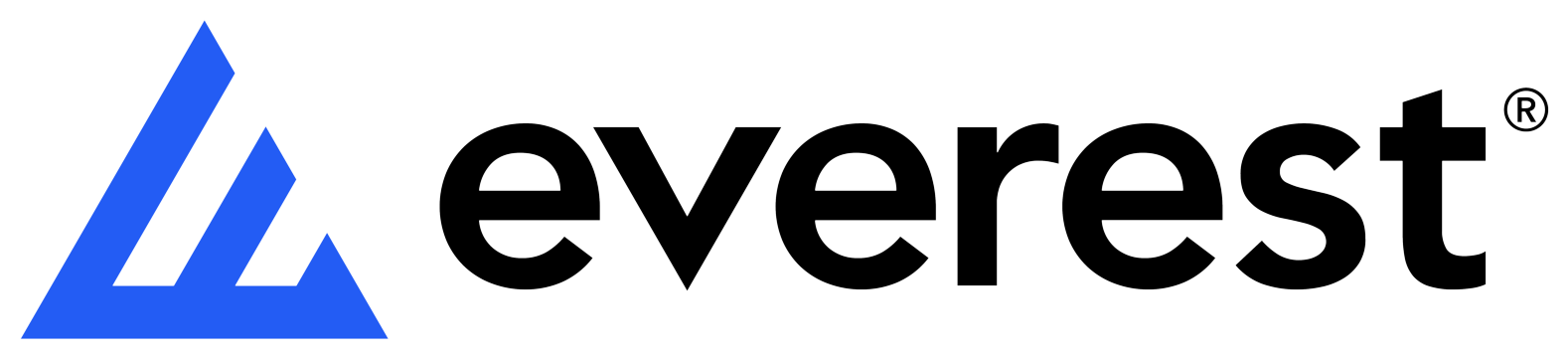 Everest logo